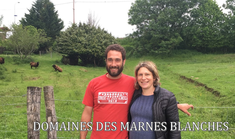 Domaine des Marnes Blanches