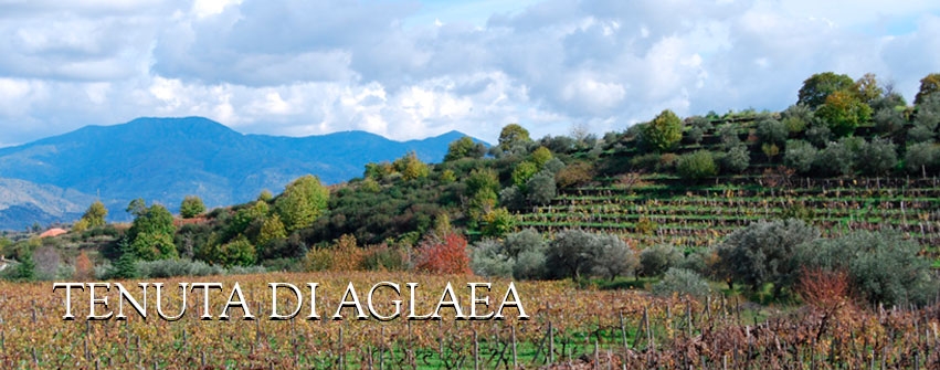 Tenuta di Aglaea