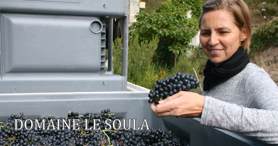 Domaine Le Soula