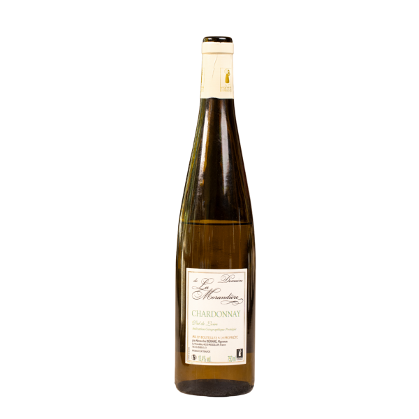 Y by Yoshino 2008 Chardonnay 3本セット Trapi Del Bueno Savage Chardonnay | Domno Wines | Famiglia Valduga